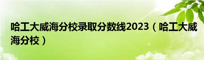 哈工大威海分校录取分数线2023（哈工大威海分校）