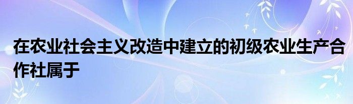 在农业社会主义改造中建立的初级农业生产合作社属于