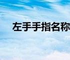 左手手指名称示意图（手指名称示意图）