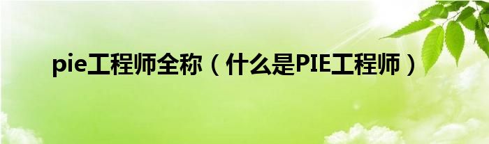 pie工程师全称（什么是PIE工程师）