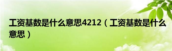 工资基数是什么意思4212（工资基数是什么意思）