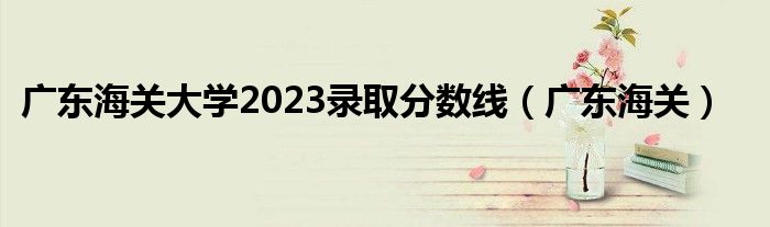 广东海关大学2023录取分数线（广东海关）