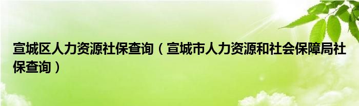 宣城区人力资源社保查询（宣城市人力资源和社会保障局社保查询）