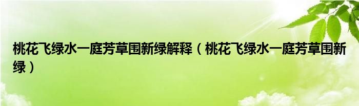 桃花飞绿水一庭芳草围新绿解释（桃花飞绿水一庭芳草围新绿）