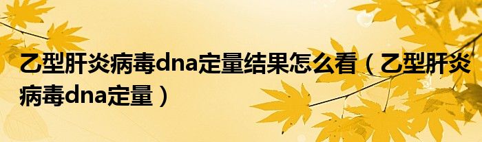 乙型肝炎病毒dna定量结果怎么看（乙型肝炎病毒dna定量）