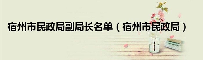 宿州市民政局副局长名单（宿州市民政局）