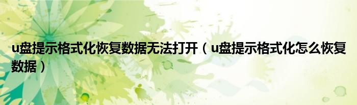 u盘提示格式化恢复数据无法打开（u盘提示格式化怎么恢复数据）