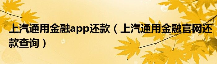 上汽通用金融app还款（上汽通用金融官网还款查询）