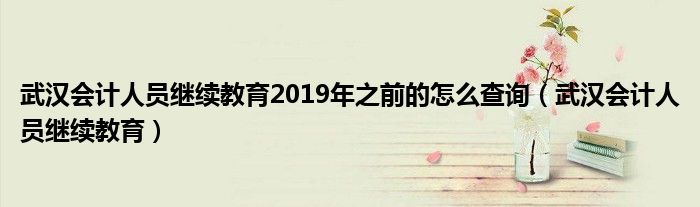 武汉会计人员继续教育2019年之前的怎么查询（武汉会计人员继续教育）