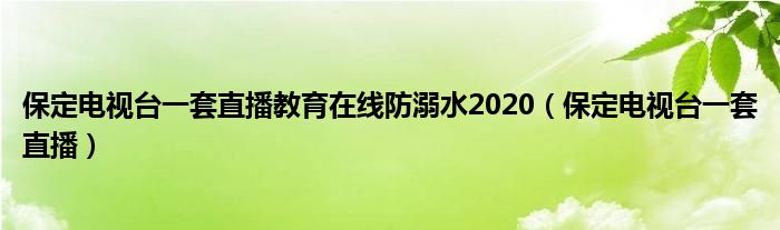 保定电视台一套直播教育在线防溺水2020（保定电视台一套直播）