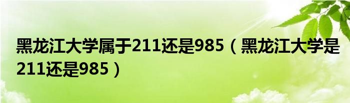 黑龙江大学属于211还是985（黑龙江大学是211还是985）