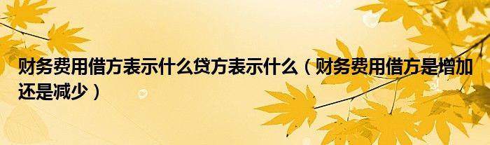 财务费用借方表示什么贷方表示什么（财务费用借方是增加还是减少）