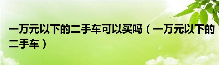 一万元以下的二手车可以买吗（一万元以下的二手车）