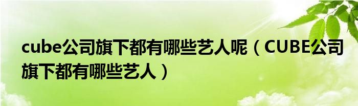 cube公司旗下都有哪些艺人呢（CUBE公司旗下都有哪些艺人）