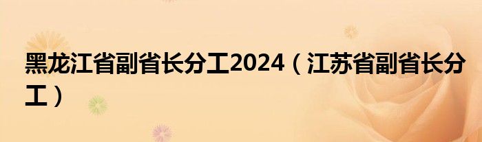 黑龙江省副省长分工2024（江苏省副省长分工）