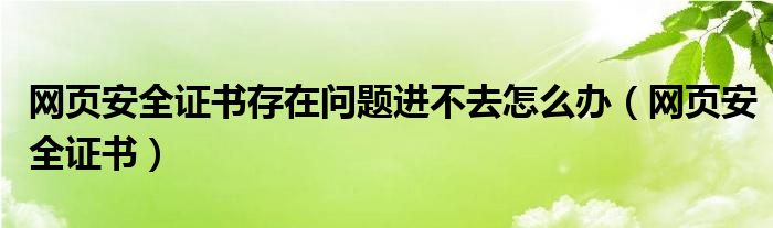 网页安全证书存在问题进不去怎么办（网页安全证书）