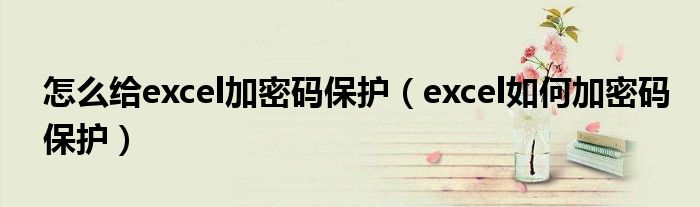 怎么给excel加密码保护（excel如何加密码保护）