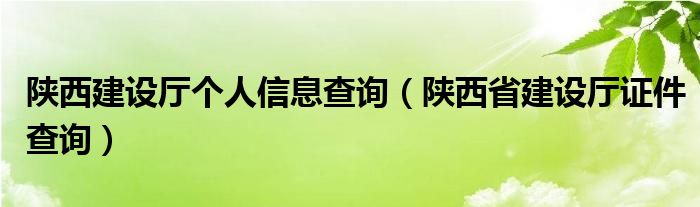 陕西建设厅个人信息查询（陕西省建设厅证件查询）