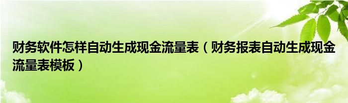 财务软件怎样自动生成现金流量表（财务报表自动生成现金流量表模板）