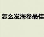 怎么发海参最佳方法如下（家庭如何发海参）