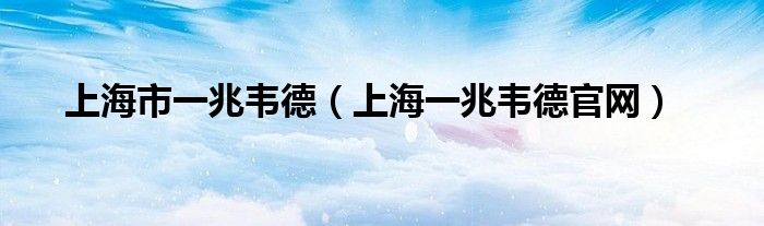 上海市一兆韦德（上海一兆韦德官网）