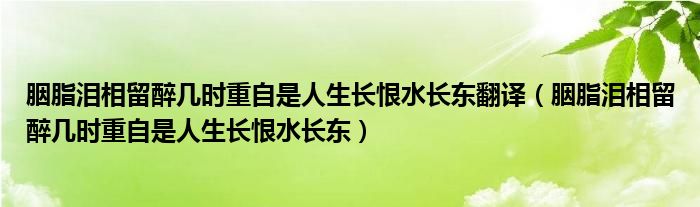 胭脂泪相留醉几时重自是人生长恨水长东翻译（胭脂泪相留醉几时重自是人生长恨水长东）