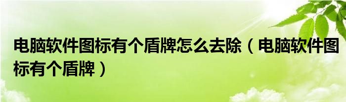 电脑软件图标有个盾牌怎么去除（电脑软件图标有个盾牌）