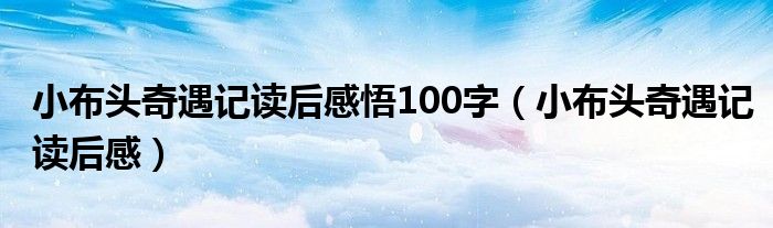 小布头奇遇记读后感悟100字（小布头奇遇记读后感）