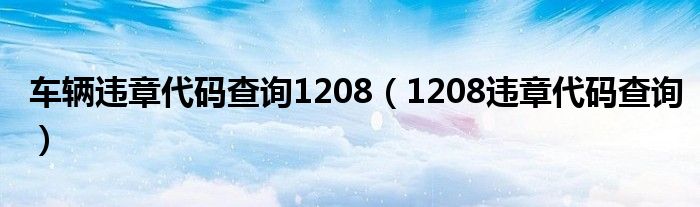 车辆违章代码查询1208（1208违章代码查询）