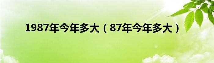 1987年今年多大（87年今年多大）