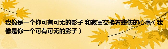 我像是一个你可有可无的影子 和寂寞交换着悲伤的心事（我像是你一个可有可无的影子）