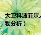 大卫科波菲尔人物分析600（大卫科波菲尔人物分析）