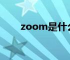 zoom是什么意思（zip是什么意思）