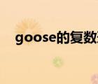 goose的复数形式（mouse的复数形式）