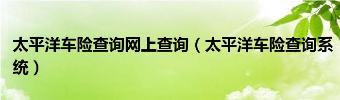 太平洋车险查询网上查询（太平洋车险查询系统）