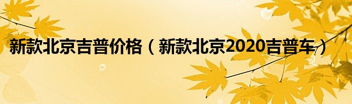 新款北京吉普价格（新款北京2020吉普车）