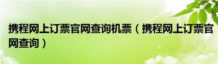 携程网上订票官网查询机票（携程网上订票官网查询）