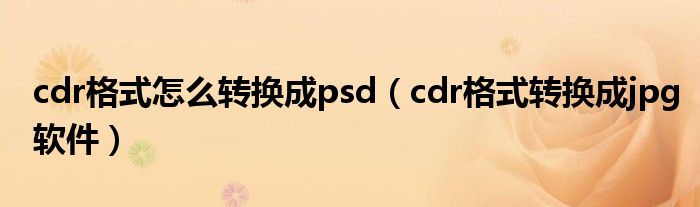 cdr格式怎么转换成psd（cdr格式转换成jpg软件）