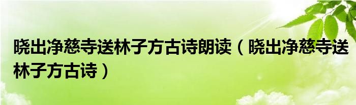 晓出净慈寺送林子方古诗朗读（晓出净慈寺送林子方古诗）