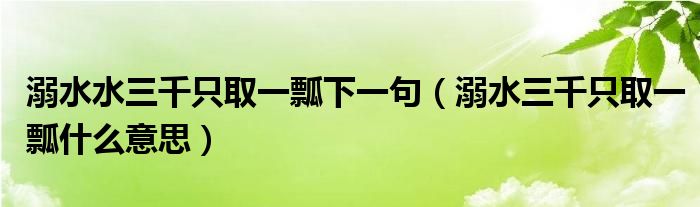 溺水水三千只取一瓢下一句（溺水三千只取一瓢什么意思）