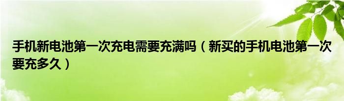 手机新电池第一次充电需要充满吗（新买的手机电池第一次要充多久）