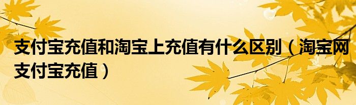 支付宝充值和淘宝上充值有什么区别（淘宝网支付宝充值）