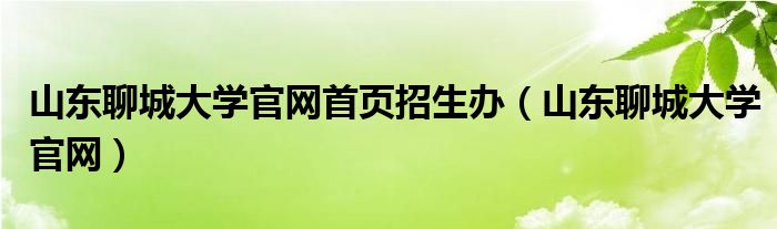 山东聊城大学官网首页招生办（山东聊城大学官网）