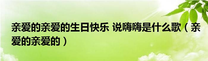 亲爱的亲爱的生日快乐 说嗨嗨是什么歌（亲爱的亲爱的）