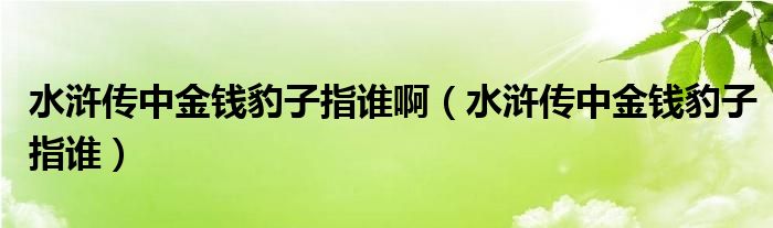 水浒传中金钱豹子指谁啊（水浒传中金钱豹子指谁）