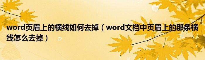 word页眉上的横线如何去掉（word文档中页眉上的那条横线怎么去掉）