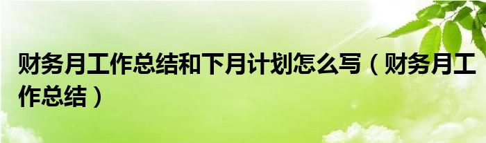 财务月工作总结和下月计划怎么写（财务月工作总结）