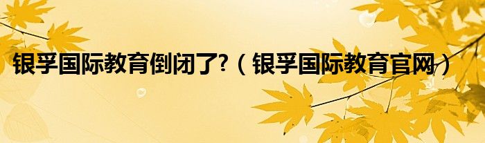 银孚国际教育倒闭了?（银孚国际教育官网）