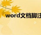 word文档脚注怎么设置（怎么插入脚注）