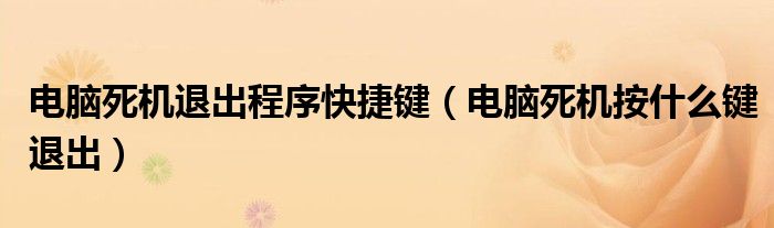 电脑死机退出程序快捷键（电脑死机按什么键退出）